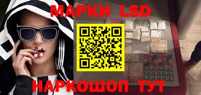прущие грибы Абакан