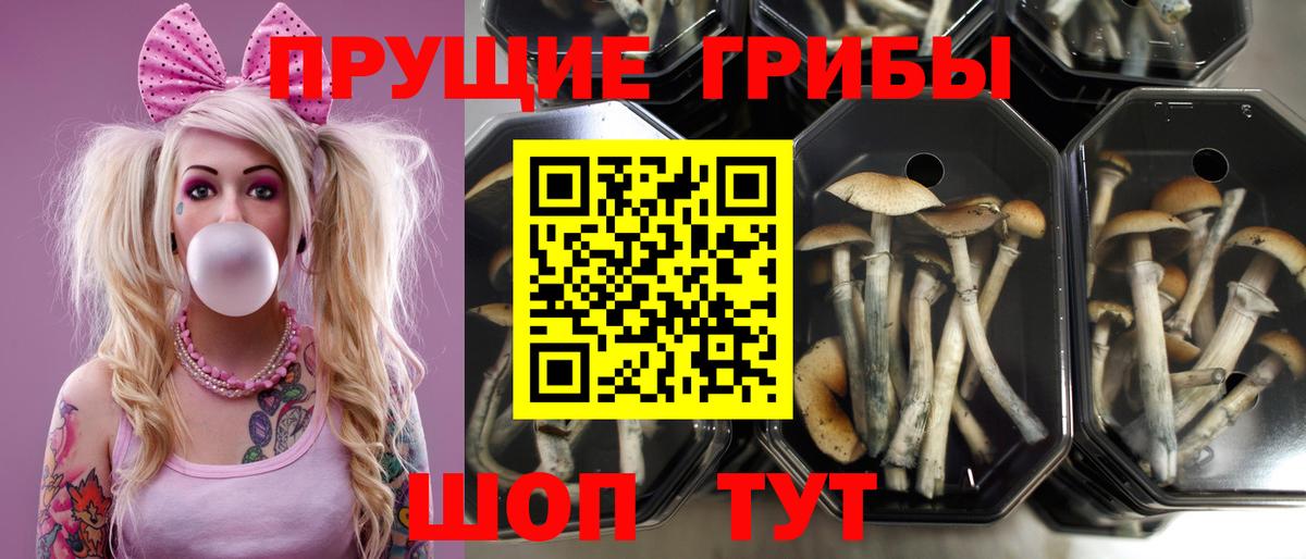 Анапа  Псилоцибиновые грибы мицелий  Вход с VPN 